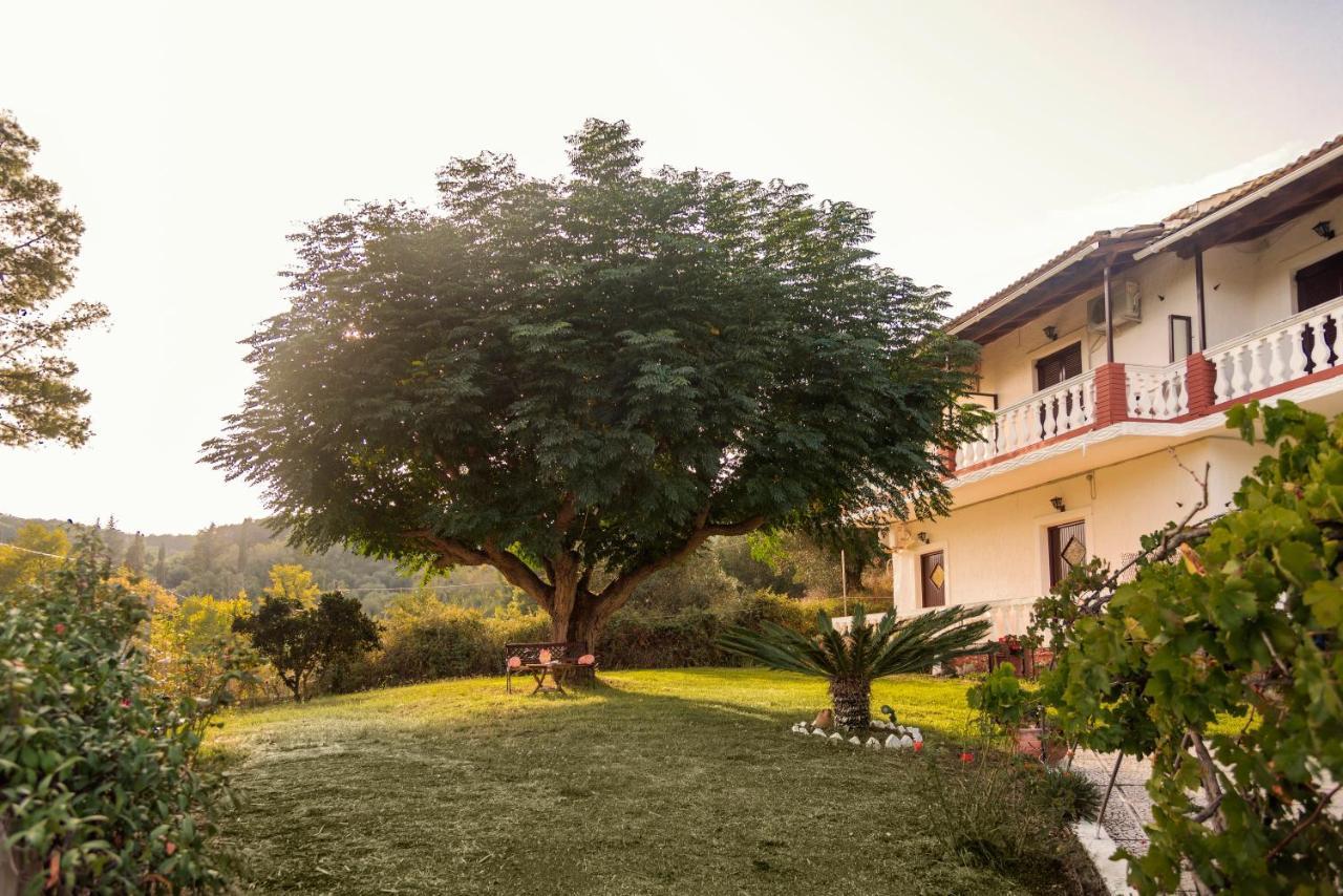 Corfu Country House Vitaládes エクステリア 写真