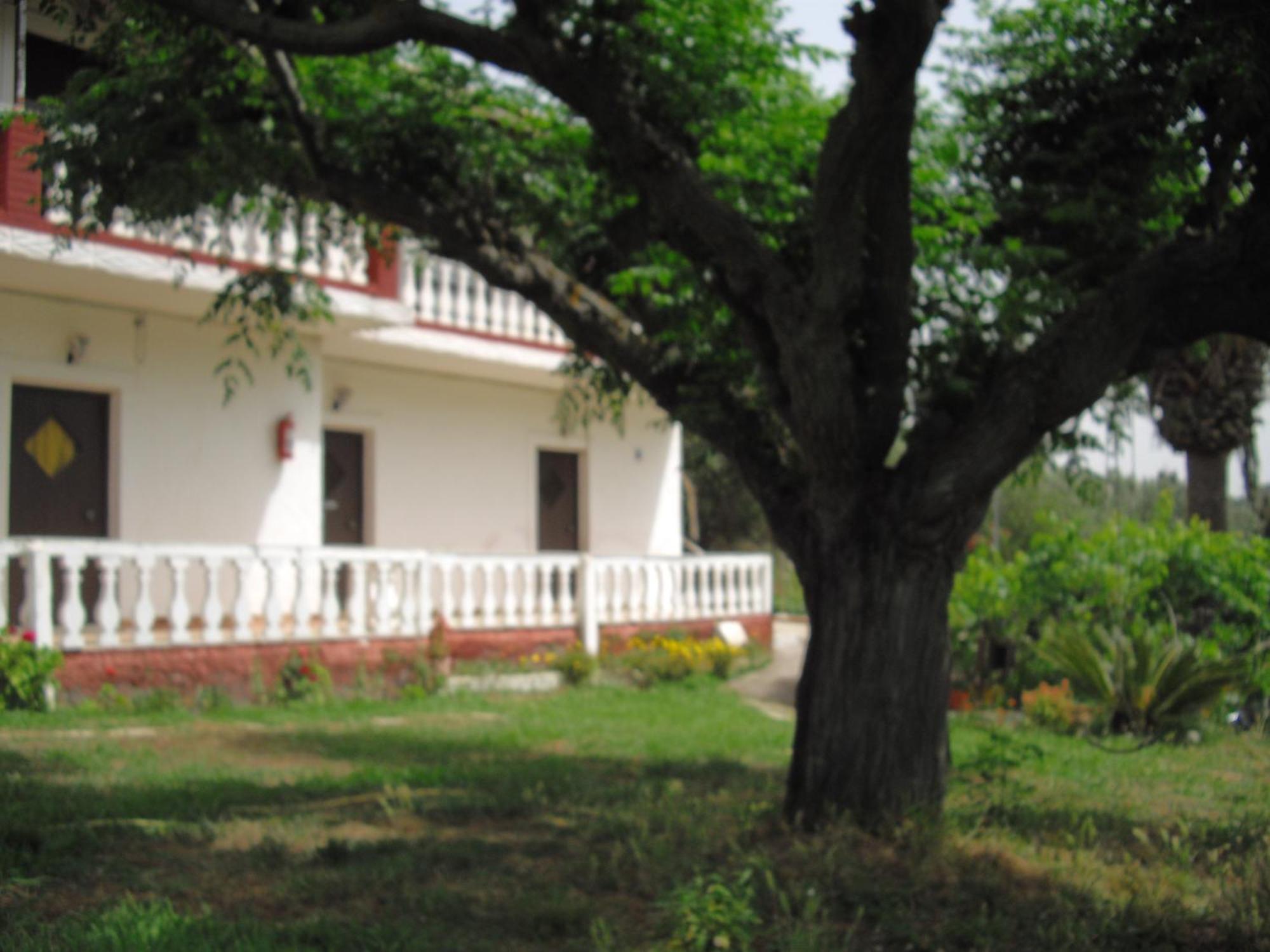 Corfu Country House Vitaládes 部屋 写真